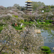 DSC09147