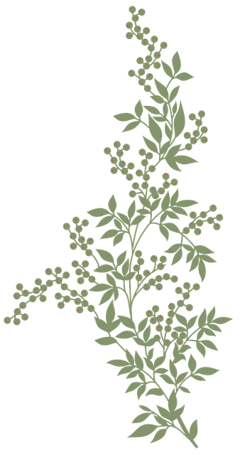0a8fd498ef030b59fb4a281da25d98d0 (1).png