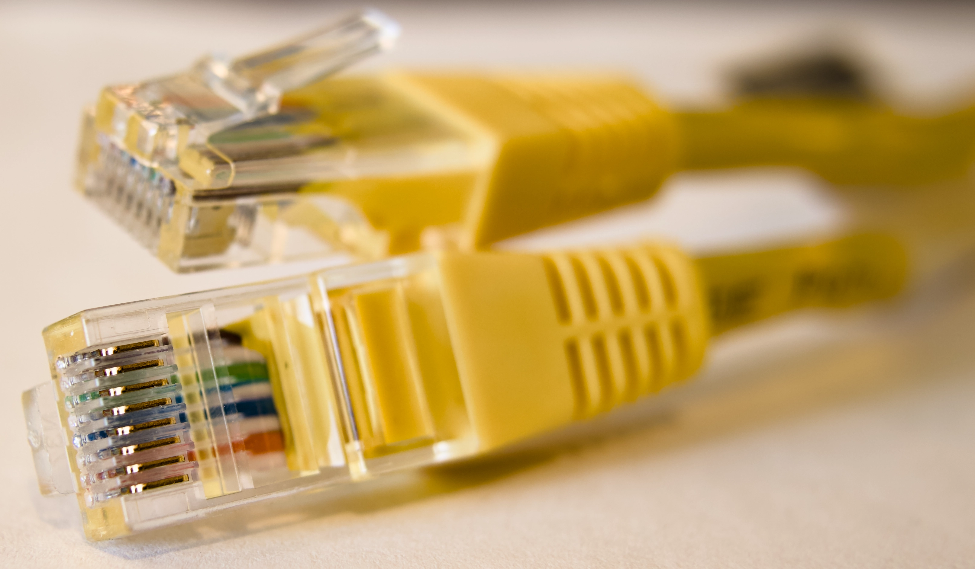 Two transparent RJ45 Ethernet connectors on yellow cables.