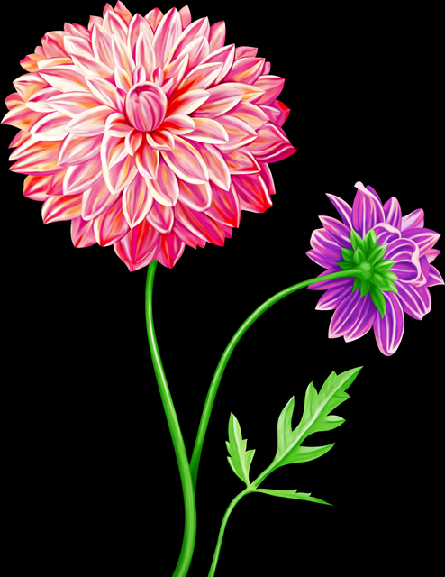 15f5d190871f19422c8afab601b4e660.png