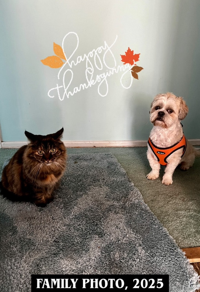 A85-D9-BC1-E54-A-4742-B032-2-D88117164-B5-1-105-c