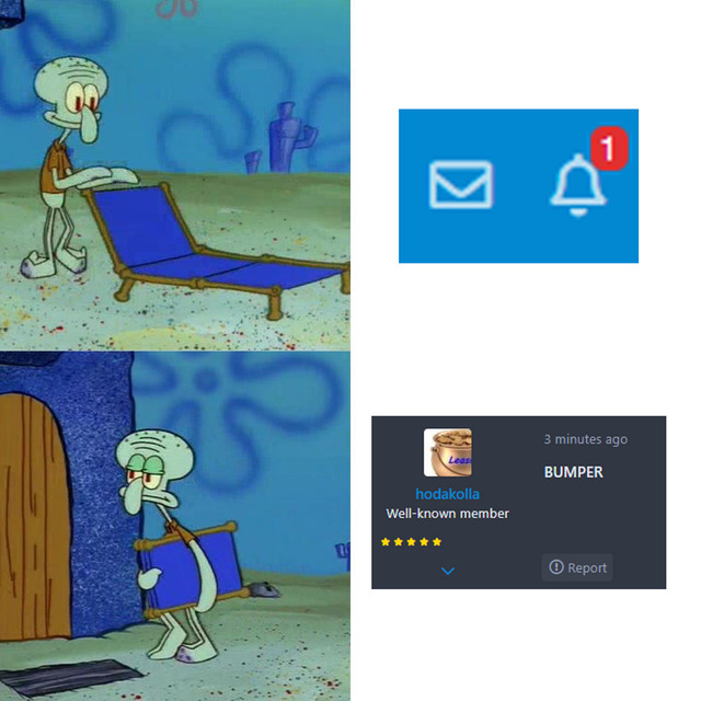 Bump.jpg
