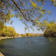 100c000952m