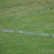 IMG-6290