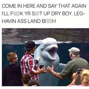 tuff-dolphin1