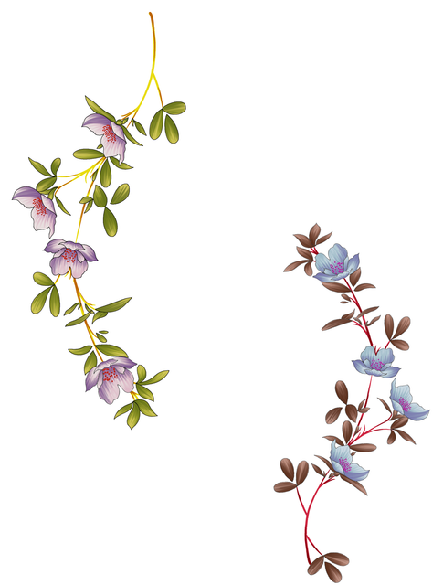 184.png