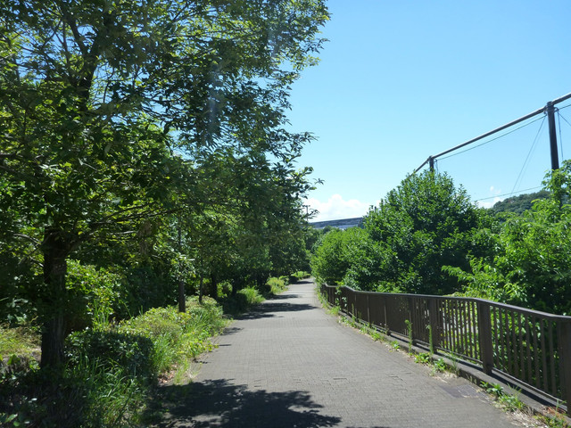 P1340059