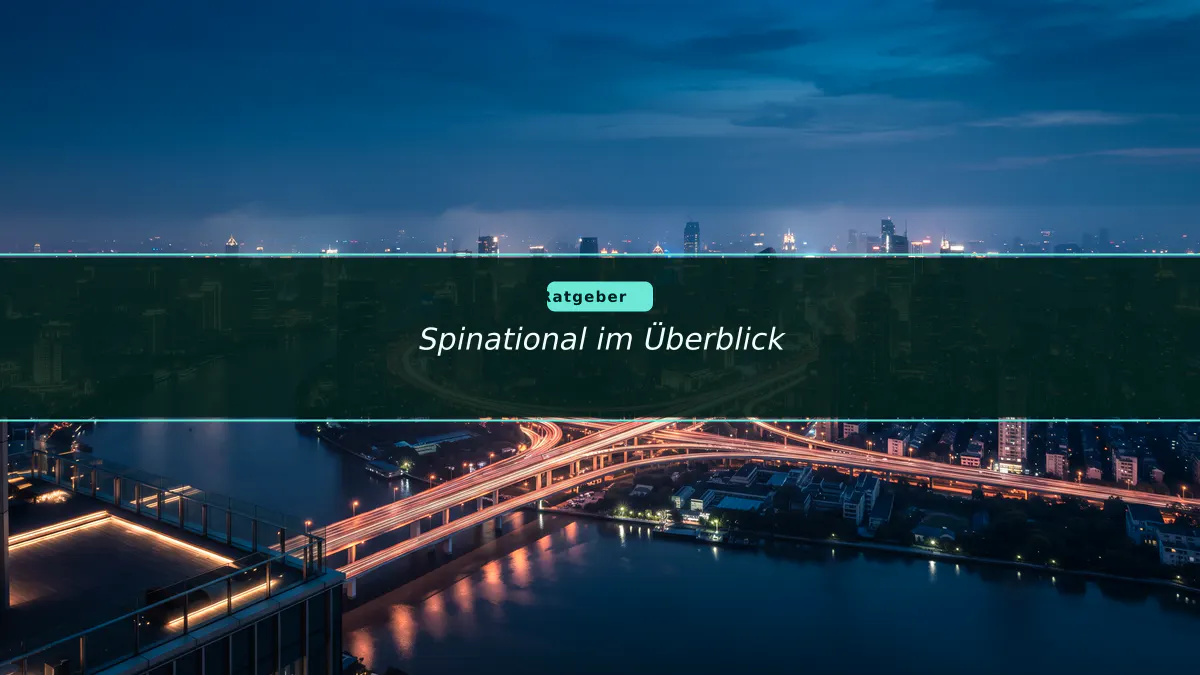 Spinational im Überblick