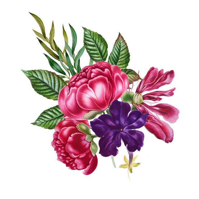 shutterstock 478281100.jpg