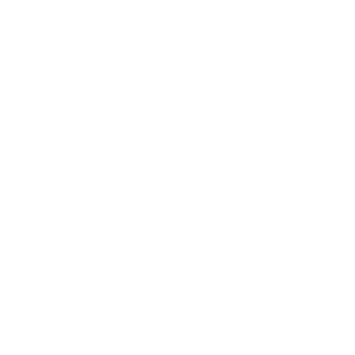 20200329-009.gif