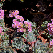 IMG-7657