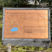 IMG-3017