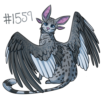 Pet Image