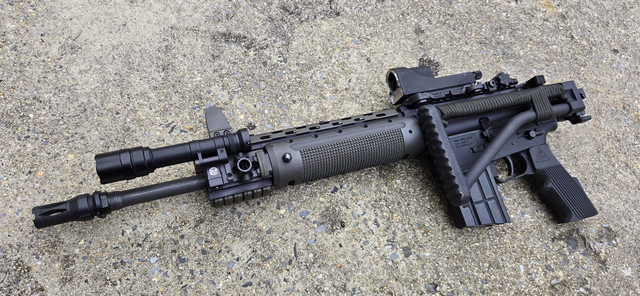 Anyone still using an old Trijicon Reflex RX01 (or similar) sight ...