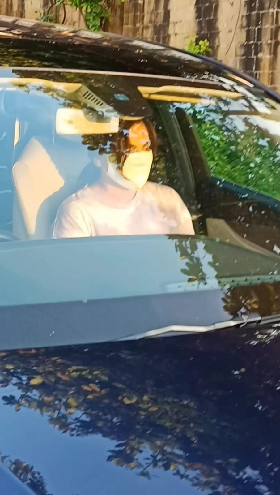 înălțime: 1130px; lățime: 640px;