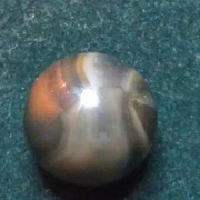 IMAG0838