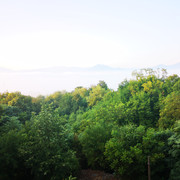 IMG-20230724-063240