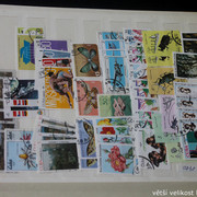 IMG-3506