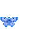 1e69a5b726c7