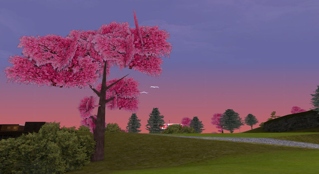 gallery496.jpg