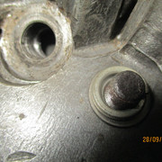IMG-8449