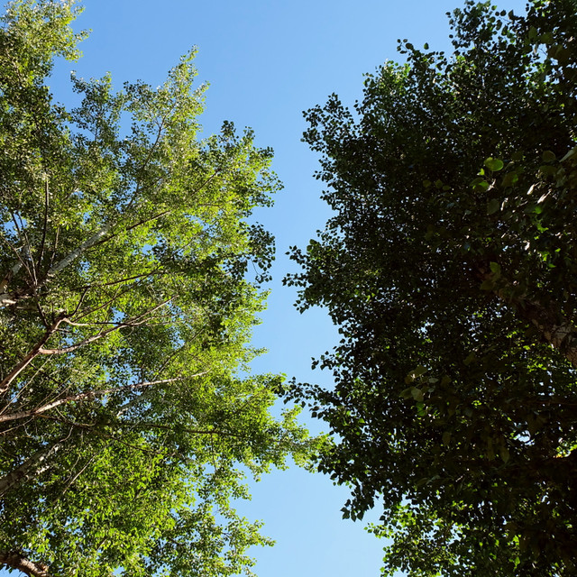 DSCF6076x800.jpg