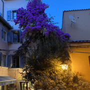 IMG-1682