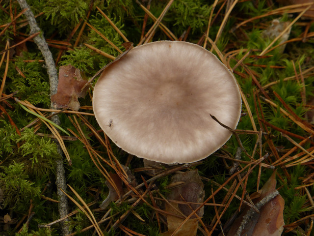 P1130687