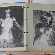 IMG-9716
