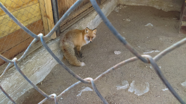 IMAG0974