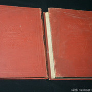 IMG-6391