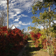 1002a0269m