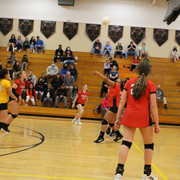 IMG-0067