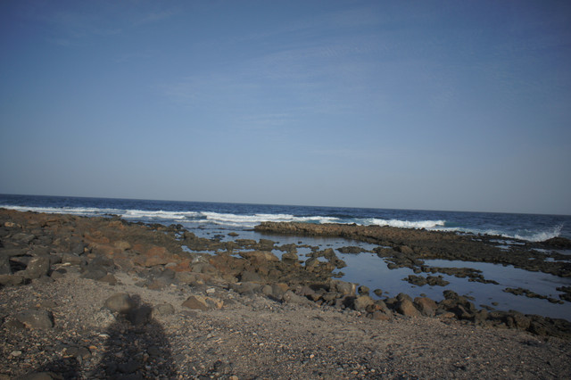 DSC01065.jpg