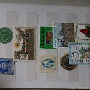 IMG-6818