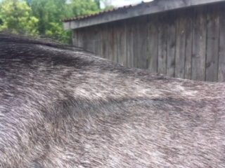 image1.jpg