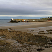 IMGP5360