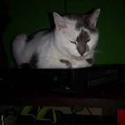 IMG-20220124-003016