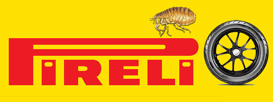 pireli.png