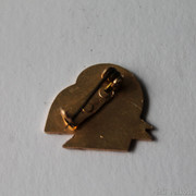 IMG-6837