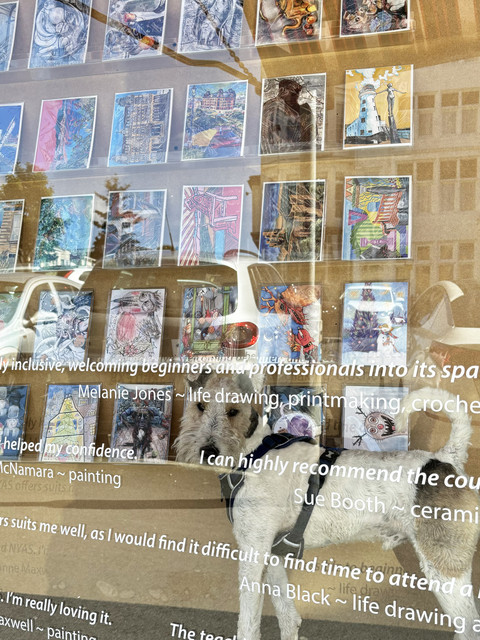 cardsad16sep24