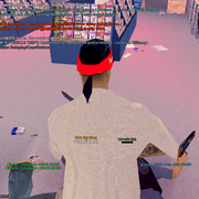 chainsaw19-20