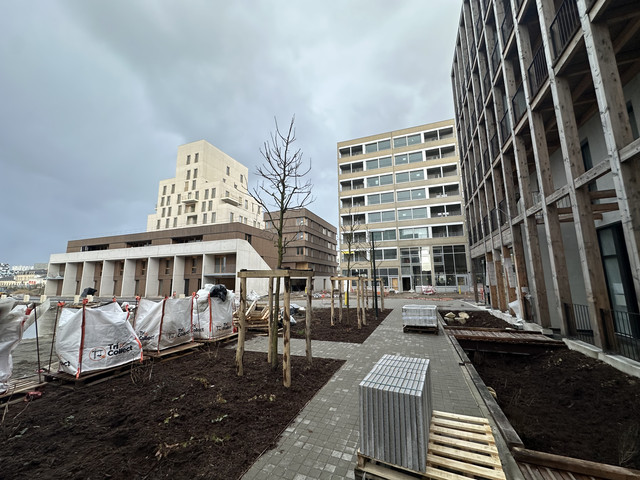 IMG-1738