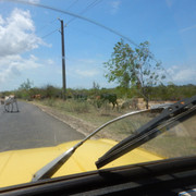DSCN1164