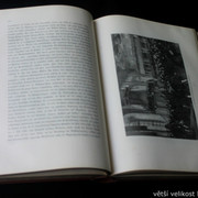 IMG-6402