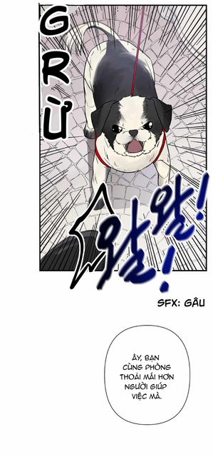 017.png
