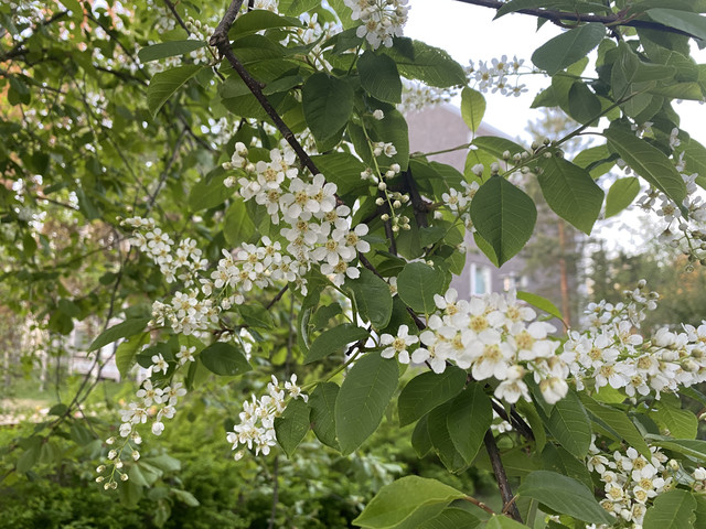 BFB4-F991-B150-495-B-88-A5-4-F74-B1-BB72