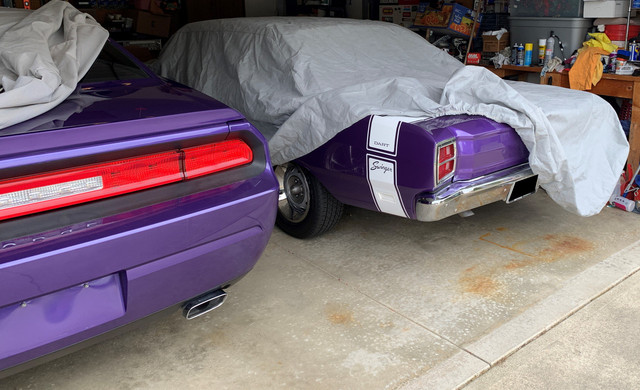 plum1