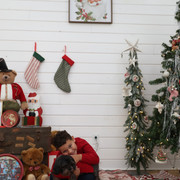 IMG 7158