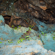 L1013459
